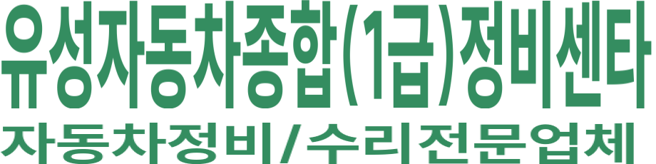 유성자동차종합(1급)정비센타 로고 이미지